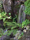 Waterfall 1.jpg