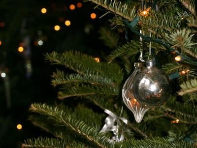 Christmas Tree Ornaments NYU Lobby