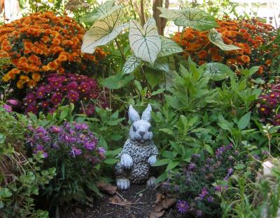 Peter Rabbit Garden in the Fall