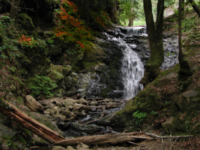 Contour Trail - Upper Falls