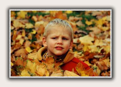 Maksym's First Romp in the Autumn Leaves