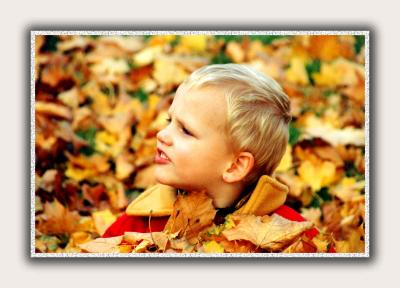 Maksym's First Romp in the Autumn Leaves