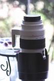 Canon 200 f2.8 with stacked Canon TCs