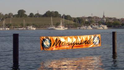 maryland.jpg