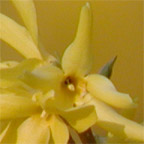 P3301465_144px.jpg