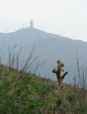  Hiking: Yuen Tseun Path jD, Hong Kong