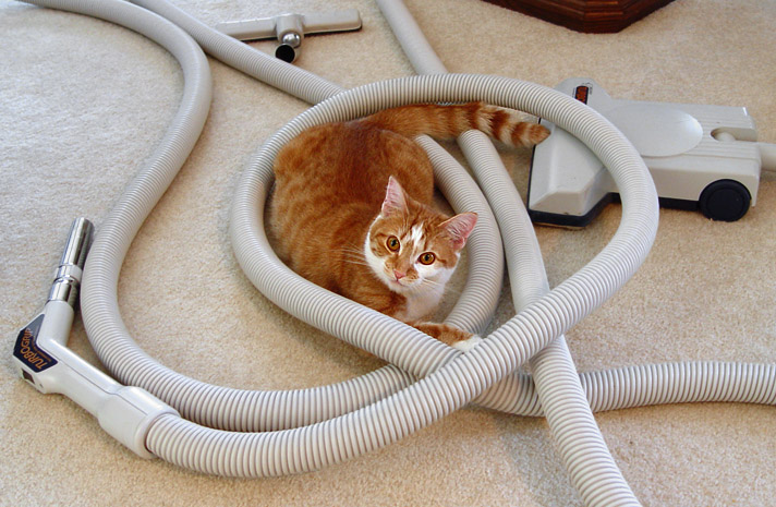 You want to vacuum?