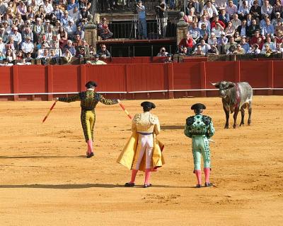 Bullfight-16.jpg