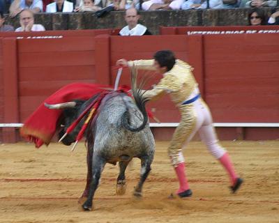 Bullfight-44.jpg