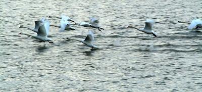 DSCF2417.jpg