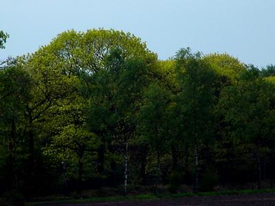 colors-of-de-peel