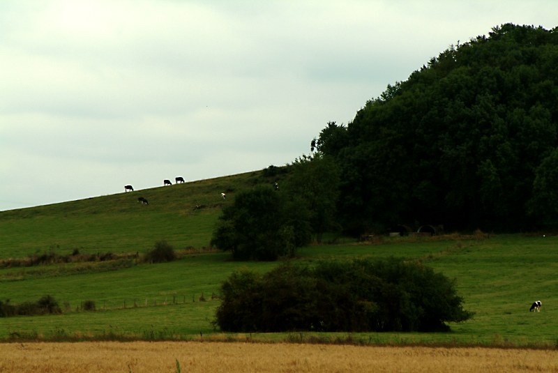 At the edge