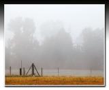 Fence in Fog.jpg