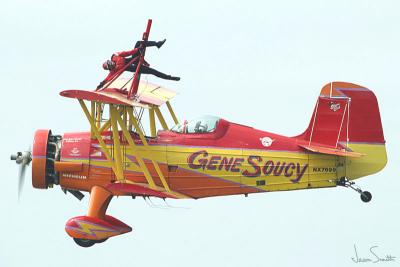 Wing walker