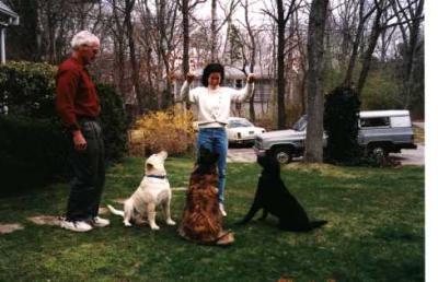 Julie + the 3 dogs.jpg