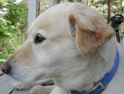 lovelyprofile.jpg