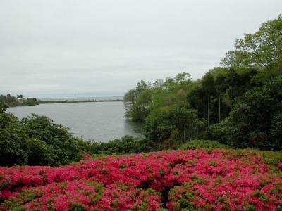 Spohrgardens.jpg