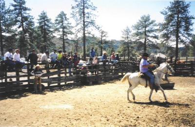 Werner on Ricardo's horse