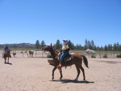 Kelly Ann & Pico Blanco II