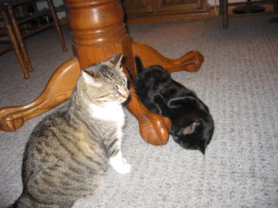 Machka & Cleo