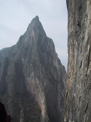 115-1593_IMG.JPG