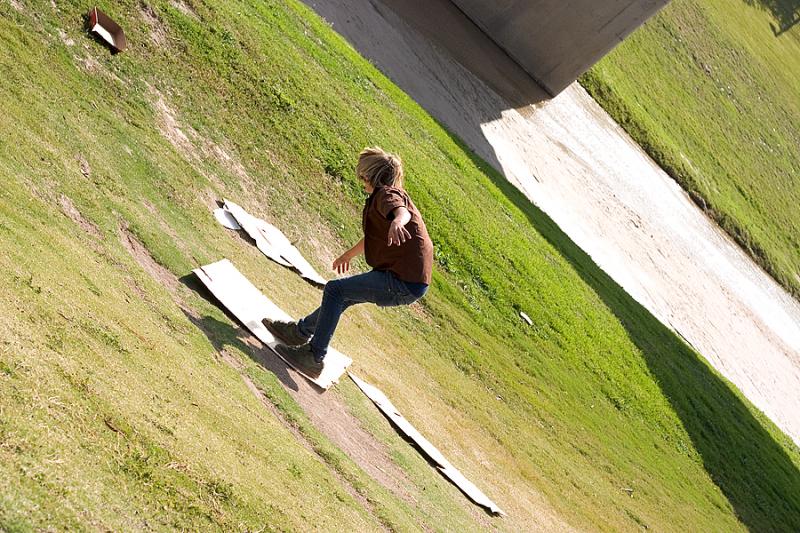 Cardboard Hill 3