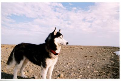 2004~12ĤGxWBC Second time at Kenting Taiwan