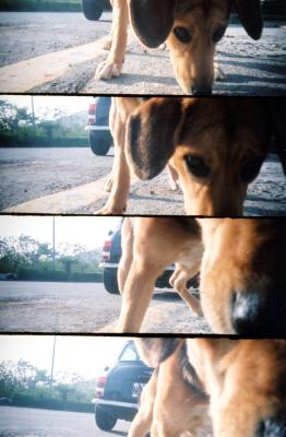 2004台灣墾丁....Kenting Taiwan LOMO Photo