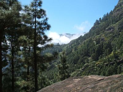 view, Benchijigua trail
