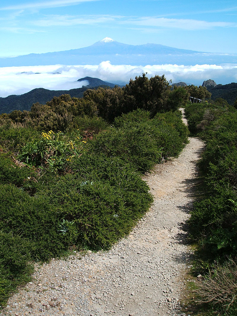 Pico de Garajonay trail, Teide view