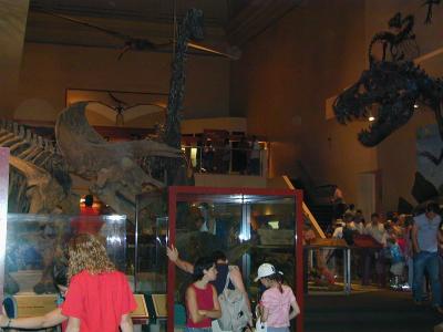 Museum of Natural History - Dinosaurs