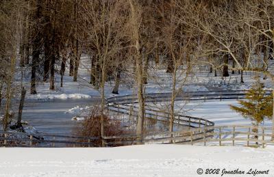CRW_4597.jpg