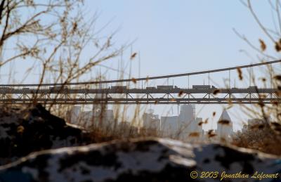 IMG_5876.jpg