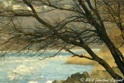 IMG_5758.jpg