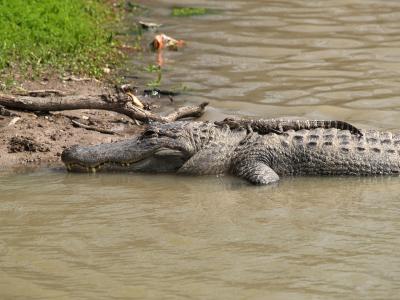 mother and child