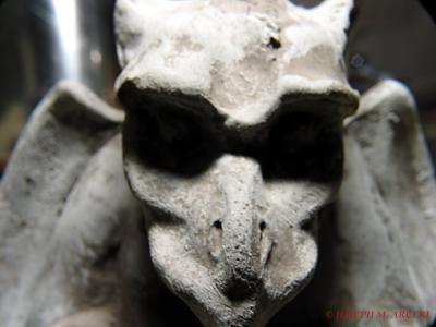 Gargoyle Ghost969.jpg