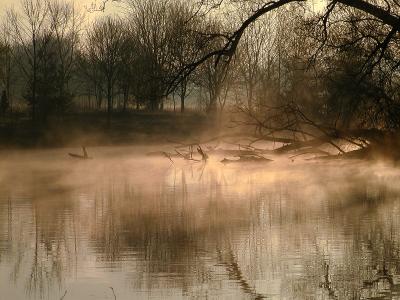River Mist #1 (Olympus C-2100)