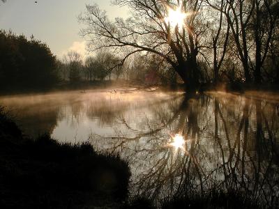 River Mist #3  (Olympus C-2100)