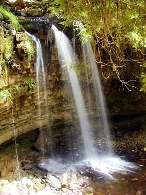 Falls #4