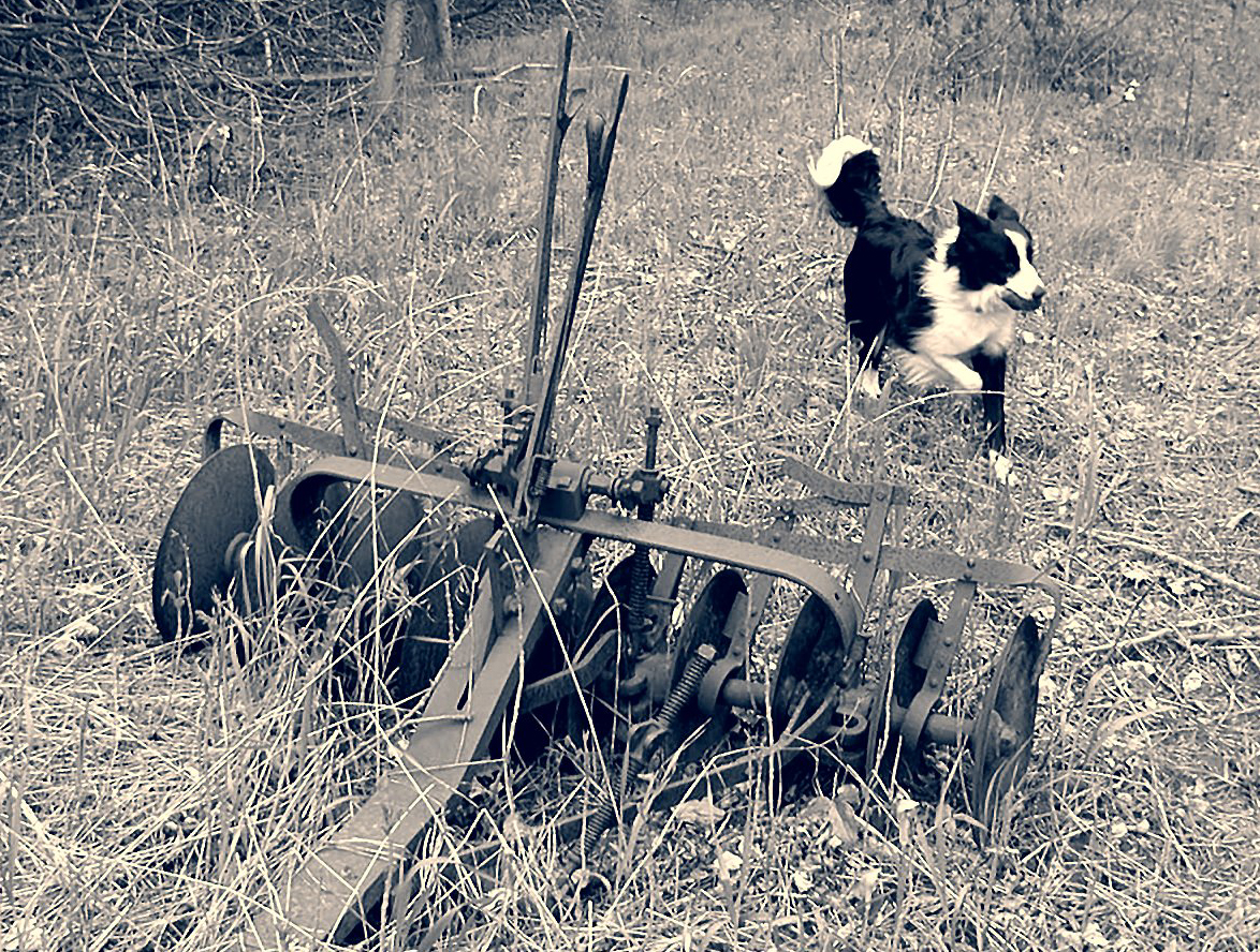 Annie   (Olympus C-2100)