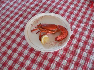 u10/johnlich/medium/37903026.christmasdaybreakfast.jpg