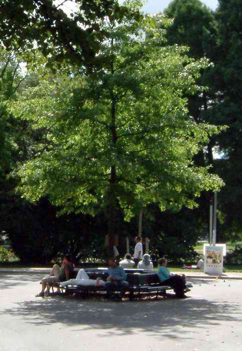 DSCF2539a.jpg