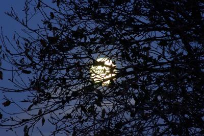Hidden moon