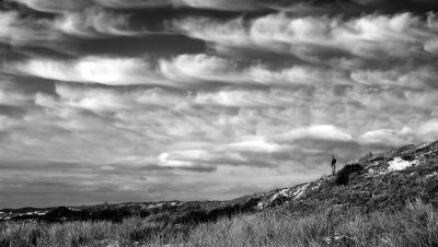 DSC_3444010505LookingBW.jpg