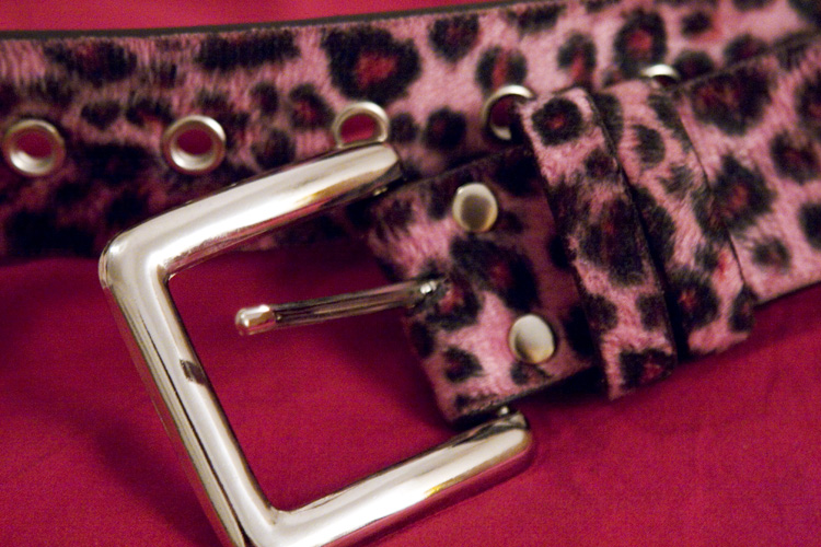 March 27 - belt