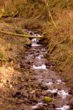 Small Mountain Stream