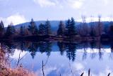 Reflections