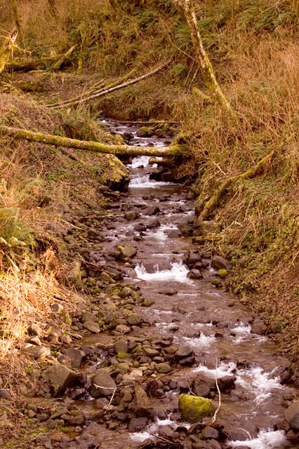 Small Mountain Stream