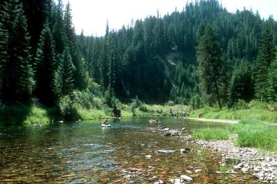 Coeur d'Alene River - Northwest Idaho 2004
