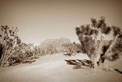u10/ken_platt/medium/37801619.PCGrandCanyon0214sepia.jpg
